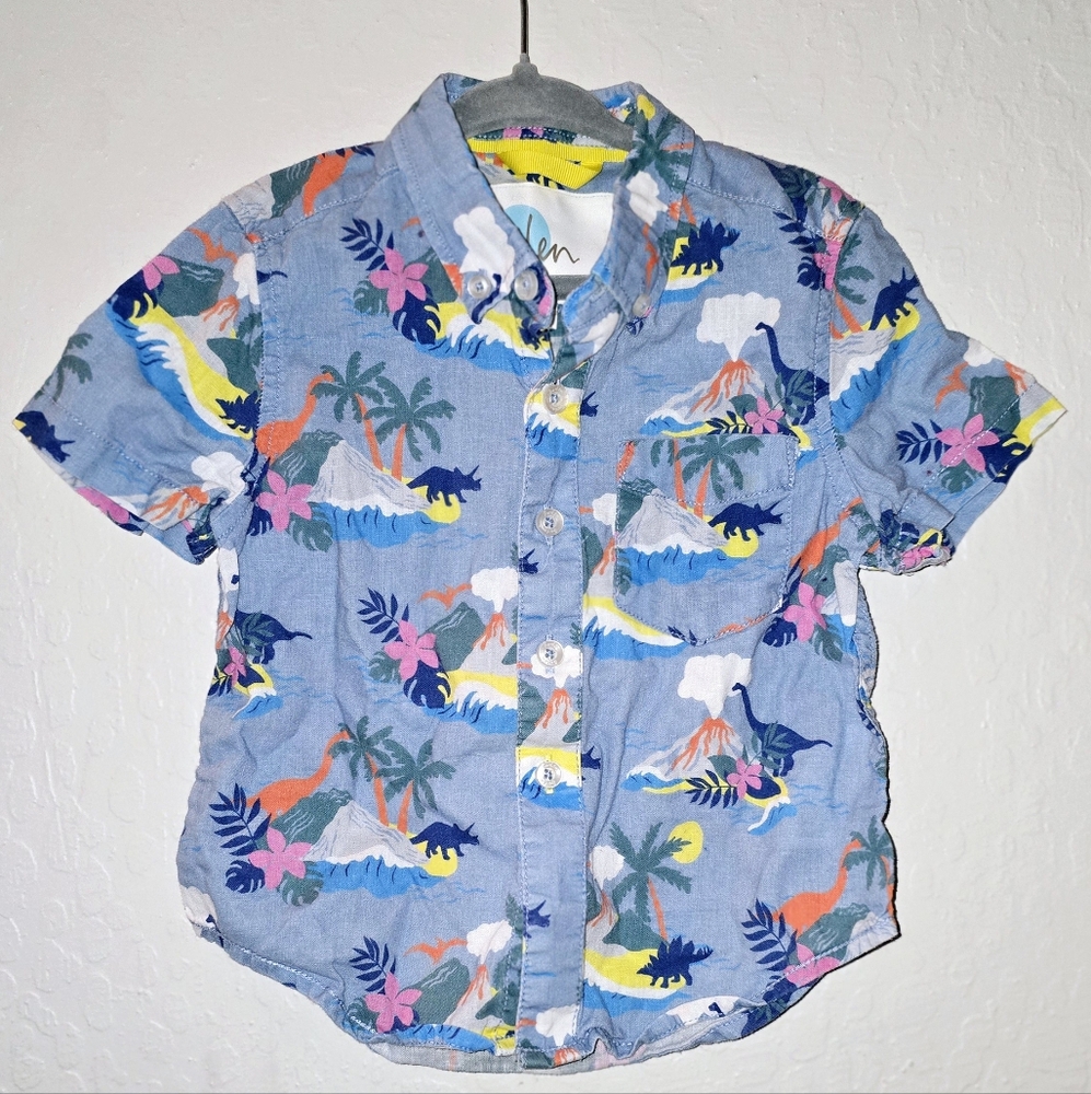 Colorful Dinosaur Print Kids Shirt